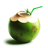 coconut